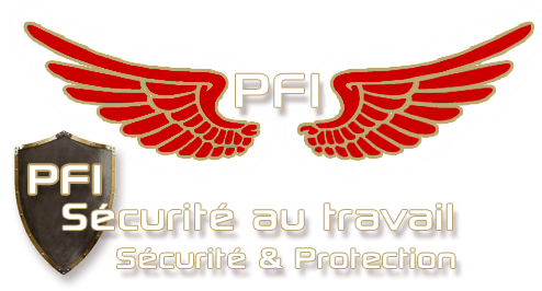 Logo PFI Protect France Incendie & Sécurishop
