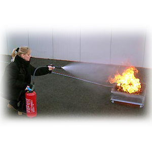 La prévention incendie domestique: lutter contre les risques, informer, prévenir, choisir la protection incendie chez les particuliers